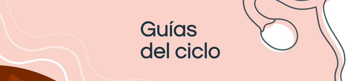 Guías del ciclo